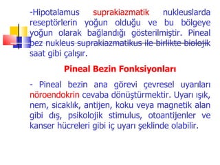 -Hipotalamus       suprakiazmatik  nukleuslarda
reseptörlerin yoğun olduğu ve bu bölgeye
yoğun olarak bağlandığı gösterilmiştir. Pineal
bez nukleus suprakiazmatikus ile birlikte biolojik
saat gibi çalışır.
         Pineal Bezin Fonksiyonları
- Pineal bezin ana görevi çevresel uyarıları
nöroendokrin cevaba dönüştürmektir. Uyarı ışık,
nem, sicaklık, antijen, koku veya magnetik alan
gibi dış, psikolojik stimulus, otoantijenler ve
kanser hücreleri gibi iç uyarı şeklinde olabilir.
 