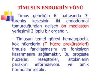 TİMUSUN ENDOKRİN YÖNÜ
- Timus gebeliğin 6. haftasında 3.
farenks kesesinin iki endodermal
tomurcuğundan gelişen ön mediasten
yerleşimli 2 loplu bir organdır.
- Timusun temel görevi hematopoetik
kök hücrelerin (T hücre prekürsörleri)
timusla farklılaşmasını ve fonksiyon
kazanmasını sağlamaktır. Bu proçeste
hücreler,    reseptörler,  sitokinlerin
parakrin   informasyonu   ve      timik
hormonlar rol alır.
 