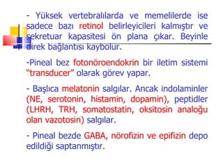 - Yüksek vertebralılarda ve memelilerde ise
sadece bazı retinol belirleyicileri kalmıştır ve
sekretuar kapasitesi ön plana çıkar. Beyinle
direk bağlantısı kaybolur.
-Pineal bez fotonöroendokrin bir iletim sistemi
“transducer” olarak görev yapar.
- Başlıca melatonin salgılar. Ancak indolaminler
(NE, serotonin, histamin, dopamin), peptidler
(LHRH, TRH, somatostatin, oksitosin analoğu
olan vazotosin) salgılar.
- Pineal bezde GABA, nörofizin ve epifizin depo
edildiği saptanmıştır.
 
