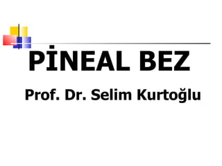 PİNEAL BEZ
Prof. Dr. Selim Kurtoğlu
 