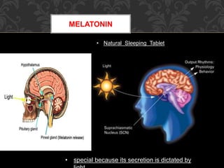 MELATONIN
• special because its secretion is dictated by
• Natural Sleeping Tablet
 