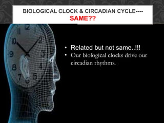 BIOLOGICAL CLOCK & CIRCADIAN CYCLE----
SAME??
• Related but not same..!!!
• Our biological clocks drive our
circadian rhythms.
 