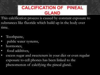 CALCIFICATION OF PINEAL
GLAND
This calcification process is caused by constant exposure to
substances like fluoride which build up in the body over
time.
• Toothpaste,
• public water systems,
• hormones,
• food additives,
• excess sugar and sweeteners in your diet or even regular
exposure to cell phones has been linked to the
phenomenon of calcifying the pineal gland.
 