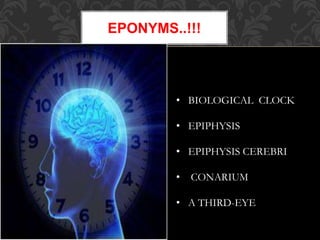 EPONYMS..!!!
• BIOLOGICAL CLOCK
• EPIPHYSIS
• EPIPHYSIS CEREBRI
• CONARIUM
• A THIRD-EYE
 