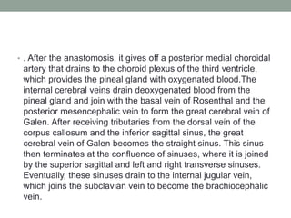 • . After the anastomosis, it gives off a posterior medial choroidal
artery that drains to the choroid plexus of the third ventricle,
which provides the pineal gland with oxygenated blood.The
internal cerebral veins drain deoxygenated blood from the
pineal gland and join with the basal vein of Rosenthal and the
posterior mesencephalic vein to form the great cerebral vein of
Galen. After receiving tributaries from the dorsal vein of the
corpus callosum and the inferior sagittal sinus, the great
cerebral vein of Galen becomes the straight sinus. This sinus
then terminates at the confluence of sinuses, where it is joined
by the superior sagittal and left and right transverse sinuses.
Eventually, these sinuses drain to the internal jugular vein,
which joins the subclavian vein to become the brachiocephalic
vein.
 