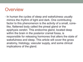 Overview
• In human the cycles of sleep and wakefulness usually
mimics the rhythm of light and dark. One contributing
factor to this phenomenon is the activity of a small, cone-
like, flattened body called the pineal gland or the
epiphysis cerebri. This endocrine gland, located deep
within the brain in the posterior cranial fossa, is
responsible for releasing hormones that alters the state of
wakefulness and sleep. This article will cover the gross
anatomy, histology, vascular supply, and some clinical
implications of the gland.
 