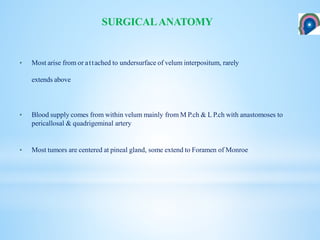 SURGICALANATOMY
• Most arise from or attached to undersurface of velum interpositum, rarely
extends above
• Blood supply comes from within velum mainly from M P.ch & L P.ch with anastomoses to
pericallosal & quadrigeminal artery
• Most tumors are centered at pineal gland, some extend to Foramen of Monroe
 
