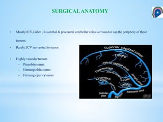 SURGICALANATOMY
• Mostly ICV, Galen , Rosenthal & precentral cerebellar veins surround or cap the periphery of these
tumors.
• Rarely, ICV are ventral to tumor.
• Highly vascular tumors
– Pineoblastomas
– Hemangioblastomas
– Hemangiopericytomas
 