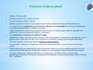  Reptiles: Photoreceptor
 Hormone secretion for circadian rhythms
 Neurotransmitter secretory function
 Inhibits gonadal development and regulates menstruation, adrenal function, and thyroid function.
 It is innervated by sympathetic nerves from the superior cervical ganglion that release norepinephrine
to increase the pineal gland’s melatonin secretion.
 Light stimuli thereby reach the pineal gland from the retina via a polysynaptic pathway and affect the
production of the neuroendocrine substance, melatonin.
 The production of melatonin is inhibited by light.
 Apparently, in many animals the major function of the pineal gland is to regulate the reproductive cycle; in
fall and winter when days are short, more melatonin is produced, causing a gonad suppressing effect.
 The exact function of the pineal gland in humans remains unclear.
 Recent studies could prove a diagnostic value of the melatonin profile in case of tumors of the pineal
region.
 These studies showed a dramatically reduced melatonin rhythm in cases of undifferentiated or invasive
tumors as well as the absence of melatonin variation as a consequence of pineal distortion after surgery.
 Also, the evidence for melatonin deficiency is recognized as a predictive factor to prevent post-
pinealectomy syndrome. The absence of production of melatonin, as after pinealectomy, causes a “Jet-lag-
like ” syndrome.
Function of pineal gland
 