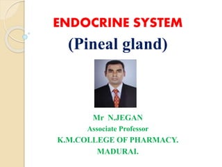 ENDOCRINE SYSTEM
(Pineal gland)
Mr N.JEGAN
Associate Professor
K.M.COLLEGE OF PHARMACY.
MADURAI.
 