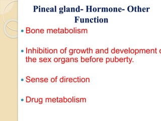 Pineal gland | PPTX