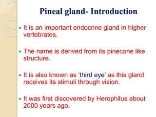 Pineal Gland Anatomy Ppt