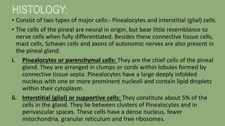 PINEAL GLAND.pptx