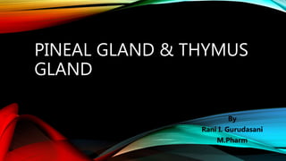 PINEAL GLAND & THYMUS
GLAND
By
Rani I. Gurudasani
M.Pharm
 