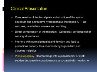 Plate Obstructer Pineal region.pptx