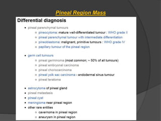 Pineal region masses | PPTX