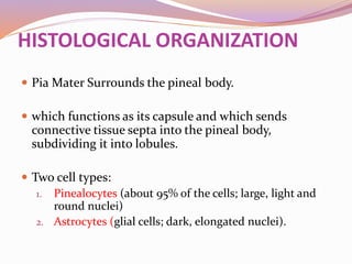 Pineal region tumors | PPTX