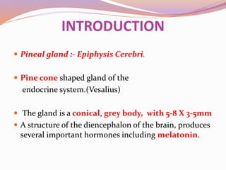 INTRODUCTION
 Pineal gland :- Epiphysis Cerebri.
 Pine cone shaped gland of the
endocrine system.(Vesalius)
 The gland is a conical, grey body, with 5-8 X 3-5mm
 A structure of the diencephalon of the brain, produces
several important hormones including melatonin.
 