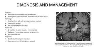 PINEAL REGION TUMORS.pptx radiation oncology | PPTX