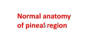 The pineal gland is a small (5-8 mm AP
diameter), pine-cone shaped, midline
brain structure.
 