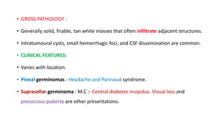 • GROSS PATHOLOGY :
• Generally solid, friable, tan white masses that often infiltrate adjacent structures.
• Intratumoural cysts, small hemorrhagic foci, and CSF dissemination are common.
• CLINICAL FEATURES:
• Varies with location.
• Pineal germinomas : Headache and Parinaud syndrome.
• Suprasellar germinoma : M.C :- Central diabetes insipidus. Visual loss and
precocious puberty are other presentations.
 
