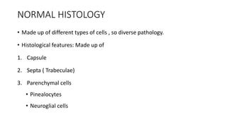 NORMAL HISTOLOGY
• Made up of different types of cells , so diverse pathology.
• Histological features: Made up of
1. Capsule
2. Septa ( Trabeculae)
3. Parenchymal cells
• Pinealocytes
• Neuroglial cells
 