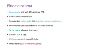 Pinealocytoma
• Slow-growing and well-differentiated PPT.
• Mitotic activity absent/low.
• Composed of mature cells that resemble normal pinealocytes.
• Pineocytomas are located behind the third ventricle.
• Rarely invade adjacent structures.
• Mostly < 3cm in size.
• Well circumscribed , round/lobular.
• Intratumoral cysts or hemorrhagic foci.
 