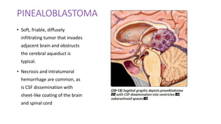 PINEALOBLASTOMA
• Soft, friable, diffusely
infiltrating tumor that invades
adjacent brain and obstructs
the cerebral aqueduct is
typical.
• Necrosis and intratumoral
hemorrhage are common, as
is CSF dissemination with
sheet-like coating of the brain
and spinal cord
 