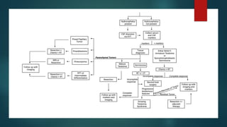 pineal gland tumors ( pineal gland )- approach | PPTX