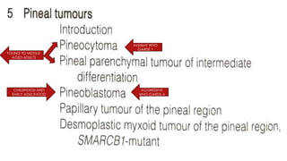 pineal gland tumors ( pineal gland )- approach | PPTX