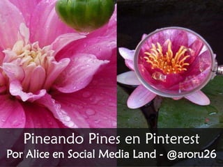 Pineando Pines en Pinterest Por Alice en Social Media Land - @aroru26  
