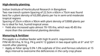 High-density planting
Indian Institute of Horticultural Research in Bangalore
Two row trench system-Spacing of 22.5cm x 60cm x 75cm was found
best for a plant density of 63,000 plants per ha in semi-arid moderate
tropical regions
Spacing of 25cm x 60cm x 90cm with plant density of 53000 plants per
ha is ideal for hot, humid tropical areas
• Yield also increased upto almost 70-105 tha, which was 45-85 tha
more than the conventional planting densities
Manuring & fertilizer
Pincapple is a shallow feeder with high N and K. requirement.
FYM 40-50 t/ha, N 16 g. P4 g and K 12 g/plant in two equal splits at 6th
and 12th
month after planting
• Apply as foliar spray 0.5% 1.0% sulphate of Zinc and Ferrous solutions at 15
days interval to overcome the deficiencies in the carly crop phase
 