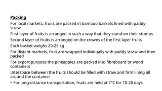 Packing
For local markets, fruits are packed in bamboo baskets lined with paddy-
straw
First layer of fraits is arranged in such a way that they stand on their stumps
Second layer of fruits is arranged on the crowns of the first layer fruits
Each basket weighs 20-25 kg
For distant markets, fruit are wrapped individually with paddy straw and then
packed
For export purpose the pineapples are packed into fibreboard or wood
containers
Interspace between the fruits should be filled with straw and firm lining all
around the container
• For long-distance transportation, fruits are held at 7°C for 10-20 days
 