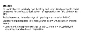 Storage
In tropical areas, partially ripe, healthy and unbruised pineapple could
be stored for almost 20 days when refrigerated at 10-13°C with RH 85-
90%
Fruits harvested in early stage of ripening are stored at 7-10°C
Exposure of pineapples to temperatures below 7°C results in chilling
injury
• Controlled atmosphere storage (3-5% O, and 5-8% CO₂) delayed
senescence and reduced respiration
 