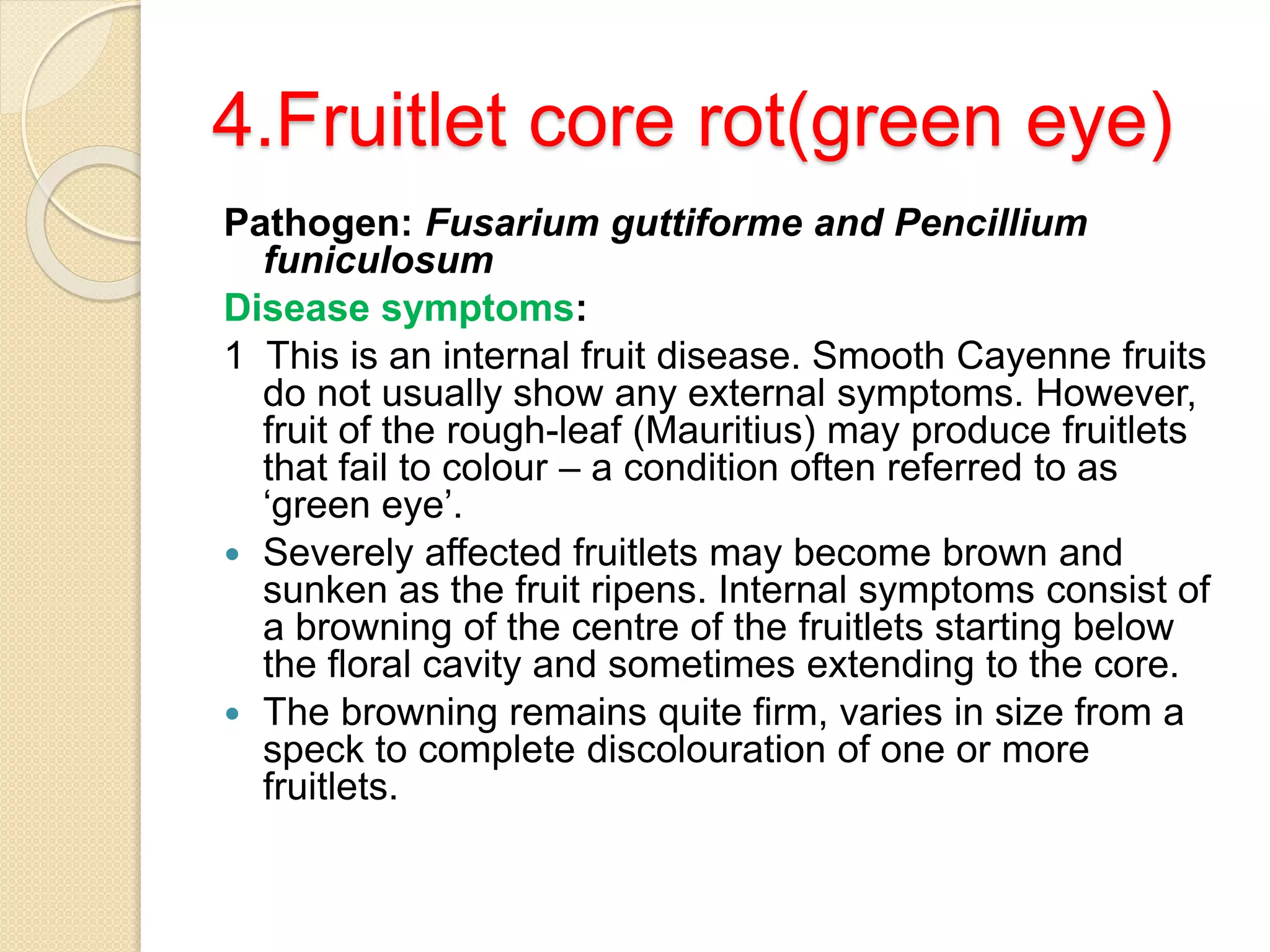 Diseases of Pineapple | PPTX