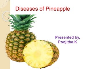 Diseases of Pineapple
 