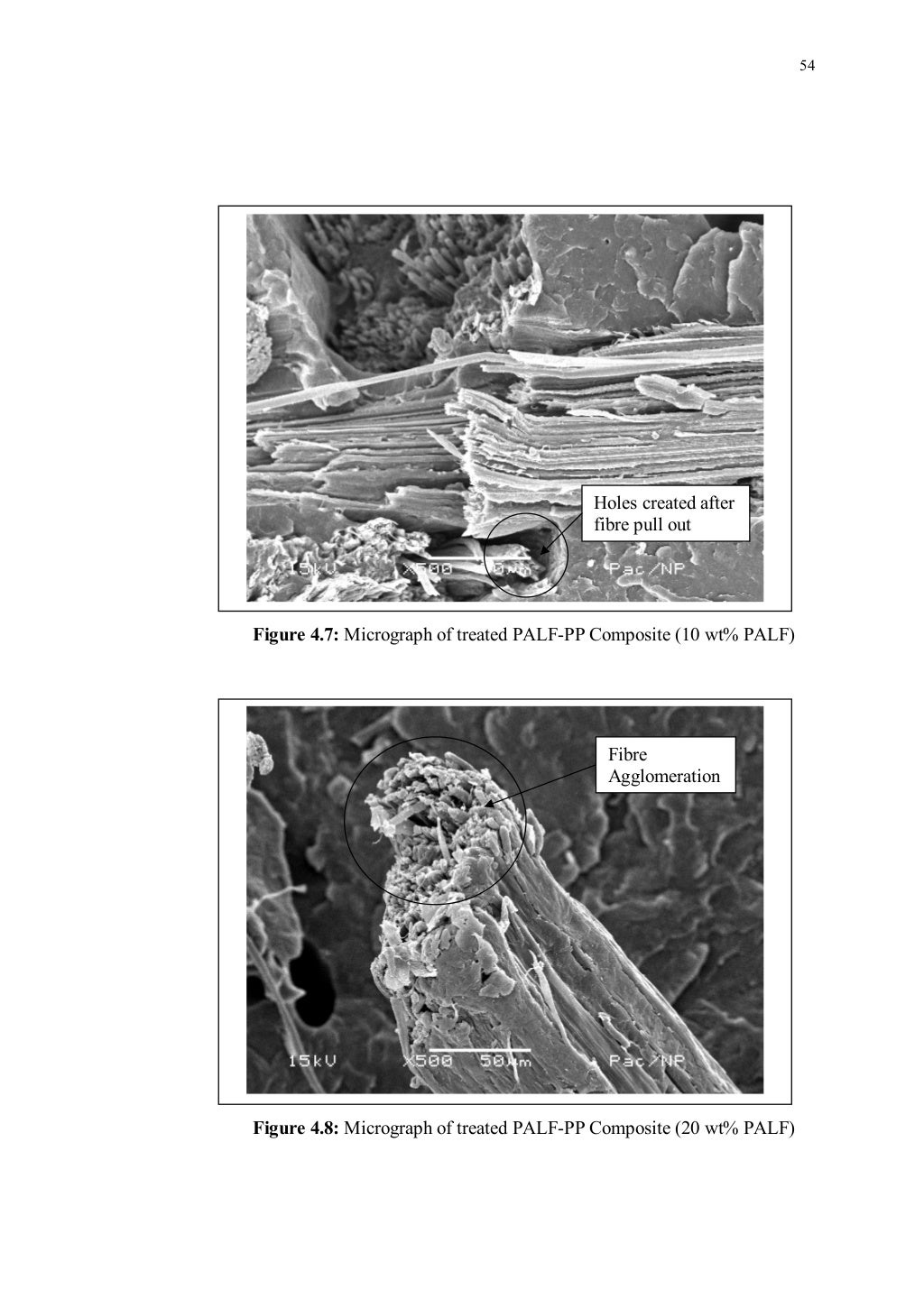 Pineapple fibre composite