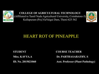HEART ROT OF PINEAPPLE
COLLEGE OF AGRICULTURAL TECHNOLOGY
(Affiliated to Tamil Nadu Agricultural University, Coimbatore-3)
Kullapuram (Po),ViaVaigai Dam, Theni-625 562
STUDENT
Miss. KAVYA.A
ID. No. 2015021060
COURSE TEACHER
Dr. PARTHASARATHY. S
Asst. Professor (Plant Pathology)
 