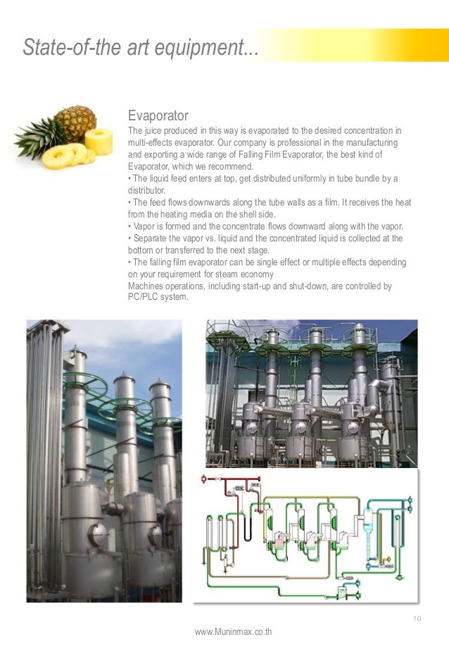 Pineapple processing line Equipment for Pineapple Plant