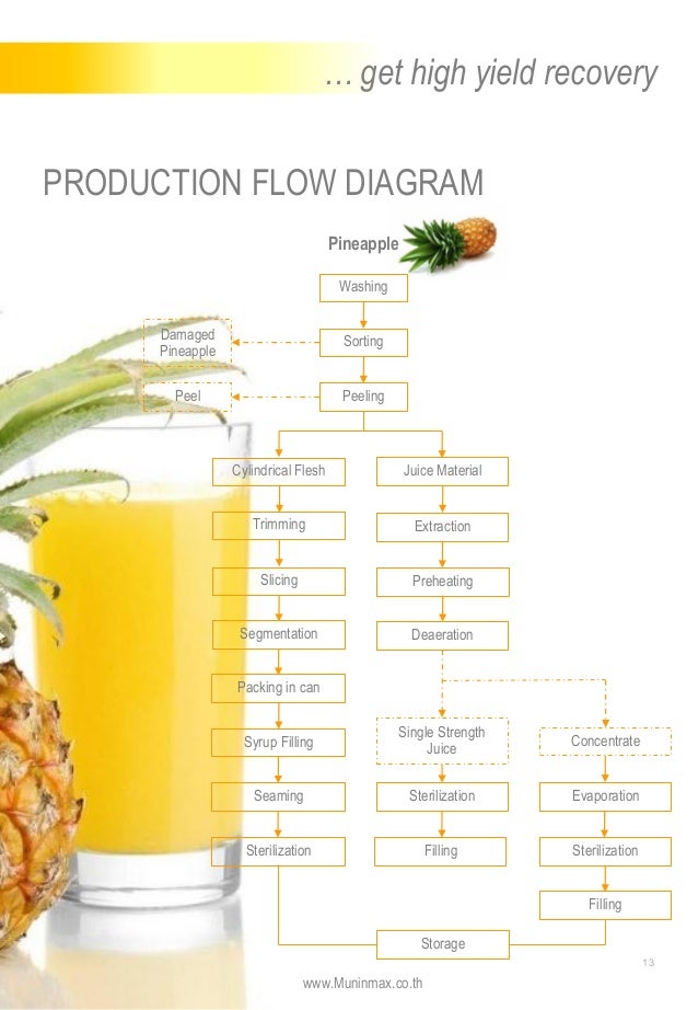 Pineapple processing line Equipment for Pineapple Plant