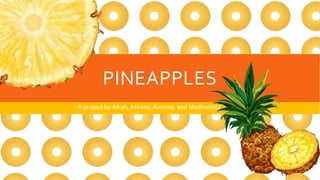 PINEAPPLES
A project by Afrah,Afnana,Amruta, and Madhumita
 
