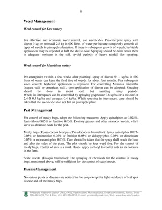 6
!
"#$%$ $&' ( ) * + ,- ./0 1%2#33$'%43 # - 56 ) 7 8- 999) ) ! :
Weed Management
Weed control for Kew variety
For effective and economic weed control, use weedicides. Pre-emergent spray with
diuron 3 kg or bromacil 2.5 kg in 600 litres of water per hectare completely controls all
types of weeds in pineapple plantation. If there is subsequent growth of weeds, herbicide
application may be repeated at half the above dose. Spraying should be done when there
is adequate moisture in the soil. Avoid periods of heavy rainfall for spraying.
Weed control for Mauritious variety
Pre-emergence (within a few weeks after planting) spray of diuron @ 1 kg/ha in 600
litres of water can keep the field free of weeds for about four months. For subsequent
weed control, herbicide application is repeated. For controlling Mikania micrantha
(vayara valli or American valli), spot-application of diuron can be adopted. Spraying
should be done in moist soil, but avoiding rainy periods.
Weeds in interspaces can be controlled by spraying glyphosate 0.8 kg/ha or a mixture of
2,4-D 0.5 kg/ha and paraquat 0.4 kg/ha. While spraying in interspaces, care should be
taken that the weedicide shall not fall on pineapple plant.
Pest Management
For control of mealy bugs, adopt the following measures: Apply quinalphos at 0.025%,
fenitrothion 0.05% or fenthion 0.05%. Destroy grasses and other monocot weeds, which
serve as alternate hosts for the pest.
Mealy bugs (Dysmicoccus brevipes / Pseudococcus bromeliae): Spray quinalphos 0.025-
0.05% or fenitrothion 0.05% or fenthion 0.05% or chlorpyriphos 0.05% or dimethoate
0.05% or monocrotophos 0.05%. Care should be taken that the spray shall reach the base
and also the sides of the plant. The plot should be kept weed free. For the control of
mealy bugs, control of ants is a must. Hence apply carbaryl to control ants in its colonies
in the farm.
Scale insects (Diaspus bromeliae): The spraying of chemicals for the control of mealy
bugs, mentioned above, will be sufficient for the control of scale insects.
DiseaseManagement
No serious pests or diseases are noticed in the crop except for light incidence of leaf spot
disease and of the mealy bugs.
 
