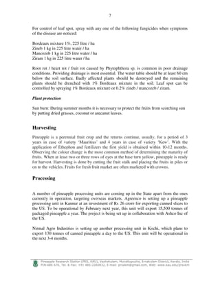 7
!
"#$%$ $&' ( ) * + ,- ./0 1%2#33$'%43 # - 56 ) 7 8- 999) ) ! :
For control of leaf spot, spray with any one of the following fungicides when symptoms
of the disease are noticed:
Bordeaux mixture 1%, 225 litre / ha
Zineb 1 kg in 225 litre water / ha
Mancozeb 1 kg in 225 litre water / ha
Ziram 1 kg in 225 litre water / ha
Root rot / heart rot / fruit rot caused by Phytophthora sp. is common in poor drainage
conditions. Providing drainage is most essential. The water table should be at least 60 cm
below the soil surface. Badly affected plants should be destroyed and the remaining
plants should be drenched with 1% Bordeaux mixture in the soil. Leaf spot can be
controlled by spraying 1% Bordeaux mixture or 0.2% zineb / mancozeb / ziram.
Plant protection
Sun burn: During summer months it is necessary to protect the fruits from scorching sun
by putting dried grasses, coconut or arecanut leaves.
Harvesting
Pineapple is a perennial fruit crop and the returns continue, usually, for a period of 3
years in case of variety ‘Mauritius’ and 4 years in case of variety ‘Kew’. With the
application of Ethephon and fertilizers the first yield is obtained within 10-12 months.
Observing the colour change is the most common method of determining the maturity of
fruits. When at least two or three rows of eyes at the base turn yellow, pineapple is ready
for harvest. Harvesting is done by cutting the fruit stalk and placing the fruits in piles or
on to the vehicles. Fruits for fresh fruit market are often marketed with crowns.
Processing
A number of pineapple processing units are coming up in the State apart from the ones
currently in operation, targeting overseas markets. Agreenco is setting up a pineapple
processing unit in Kannur at an investment of Rs 26 crore for exporting canned slices to
the US. To be operational by February next year, this unit will export 15,500 tonnes of
packaged pineapple a year. The project is being set up in collaboration with Ashco Inc of
the US.
Nirmal Agro Industries is setting up another processing unit in Kochi, which plans to
export 130 tonnes of canned pineapple a day to the US. This unit will be operational in
the next 3-4 months.
 