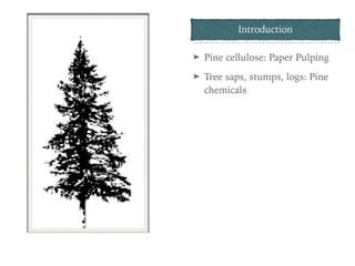 Pine chemical industry presentation | PDF