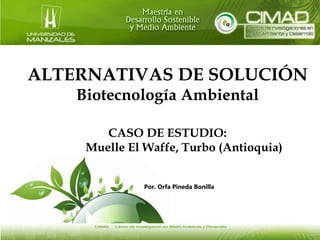 ALTERNATIVAS DE SOLUCIÓN
Biotecnología Ambiental
CASO DE ESTUDIO:
Muelle El Waffe, Turbo (Antioquia)
Por. Orfa Pineda Bonilla
 