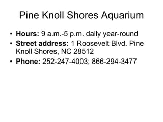 Pine Knoll Shores Aquarium ,[object Object],[object Object],[object Object]
