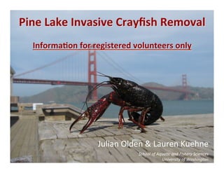 Pine	
  Lake	
  Invasive	
  Crayﬁsh	
  Removal	
  
                             	
  
   Informa6on	
  for	
  registered	
  volunteers	
  only	
  




                          Julian	
  Olden	
  &	
  Lauren	
  Kuehne	
                           	
  

                                         School	
  of	
  Aqua,c	
  and	
  Fishery	
  Sciences	
  
                                                           University	
  of	
  Washington	
  
 