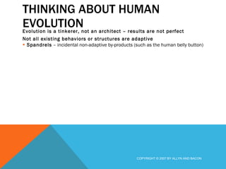 THINKING ABOUT HUMAN EVOLUTION Evolution is a tinkerer, not an architect – results are not perfect Not all existing behaviors or structures are adaptive Spandrels  – incidental non-adaptive by-products (such as the human belly button) COPYRIGHT © 2007 BY ALLYN AND BACON 