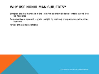 WHY USE NONHUMAN SUBJECTS? Simpler brains makes it more likely that brain-behavior interactions will be revealed Comparative approach – gain insight by making comparisons with other species Fewer ethical restrictions COPYRIGHT © 2007 BY ALLYN AND BACON 