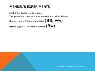 MENDEL’S EXPERIMENTS Each inherited factor is a gene Two genes that control the same trait are called alleles Homozygous – 2 identical alleles  (BB, ww) Heterozygous – 2 different alleles  (Bw)   COPYRIGHT © 2007 BY ALLYN AND BACON 